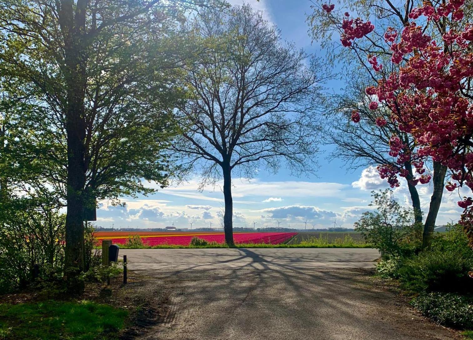 Apartmán Klein Boszicht Rutten Exteriér fotografie